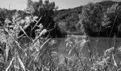 Trail Walking Roquebrune-sur-Argens - L'Escaillon par les Pétignons - Photo 5