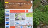 Percorso Marcia Rosis - Sommet du Caroux - Photo 8