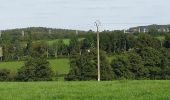 Trail On foot Kelmis - Tal der Blumen - Photo 1