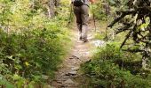 Trail Walking Chaudeyrolles - Chaudeyrolles Mont Signons 06-09-2020 - Photo 16