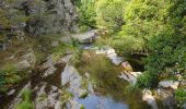 Trail Walking Mont Lozère et Goulet - Château de Tournel - Photo 6