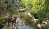 Tocht Stappen Mont Lozère et Goulet - Château de Tournel - Photo 6