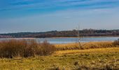 Tour Zu Fuß Mark Landin - Wanderweg Pinnow-Schwedt/Oder - Photo 6