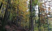 Trail Walking Still - ancien. lavoir balbronn - Photo 4