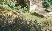 Tocht Stappen Arradon - PR_56_Arradon_EA_05_Les-2-Moulins_Circuit3a_20220827 - Photo 2