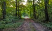 Tocht Mountainbike Virton - Stockfontaine  -  Balade_VTT_24kms - Photo 12