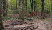 Randonnée A pied Wiehl - Tropfsteinhöhle Rundweg A3 - Photo 4