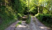 Tour Wandern Momignies - Macquenoise 170621 - Photo 11