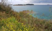 Tour Wandern Saint-Jacut-de-la-Mer - rando pointe de ST JACUT 22 - Photo 7