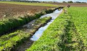 Trail Walking Les Bons Villers - #221021 - Mellet, Champ Chassart et Saint Fiacre - Photo 13