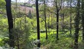 Randonnée Marche Jalhay - dans les,nous d'Herbierster - Jalhay - Photo 11