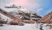 Randonnée A pied Valsavarenche - IT-2A - Photo 9