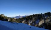 Excursión Senderismo Seyssins - Le Vallon des Forges et le Plateau Charvet en raquettes et en bus (ligne 19, repérage pour ANF) - Photo 4