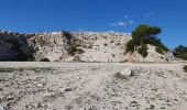 Excursión Senderismo Martigues - La Couronne Sausset les Pins - Photo 3