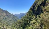 Randonnée Marche São Roque do Faial - Le chaudron vert  - Photo 12