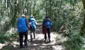 Trail Walking Miramont-Sensacq - MIRAMONT-SENSACQ terra aventura avec le G4 - Photo 7