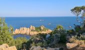 Tour Wandern Ramatuelle - Ramatuelle - de Bonne Terrasse au Rocher des Portes en passant par le phare - Photo 7