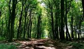 Trail Walking Seraing - Bois de la Vecquée   - Photo 6