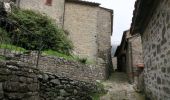 Percorso A piedi Loro Ciuffenna - La Via del Castagno - Photo 3