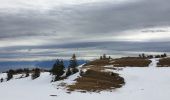 Trail Snowshoes Divonne-les-Bains - La Dole alt 1676m en raquette - Photo 4