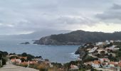 Tour Wandern Cerbère - Cerbère-Port Bou -Colera - Photo 5