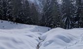 Randonnée Ski de randonnée Samoëns - 2025-01-30 Sortie Ski de Rando Col de la Golese - Photo 1