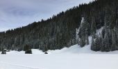 Tour Schneeschuhwandern Sixt-Fer-à-Cheval - Refuge de Gers - Photo 2