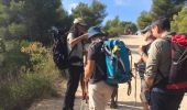 Trail Walking Cassis - Port Milou - Photo 3