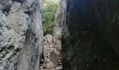 Percorso Marcia Cheval-Blanc - les gorges du regalon - Photo 6