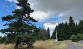 Randonnée Marche Cayres - Grand tour du Lac du Bouchet - Photo 3