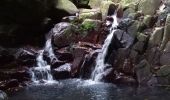 Excursión Senderismo Bouillante - Aquarando Rivière Losteau - Rivière Espérance - Photo 2