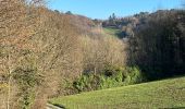 Tour Wandern Olne - Nessonvaux a l’envers - Photo 1