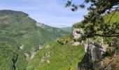 Tour Wandern Villard-de-Lans - Villard de Lans - Balcons et falaises de la Bourne - panorama  - Photo 14