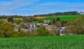 Trail Walking Houyet - Balade autour du Château de Vêves - Celles - Photo 18