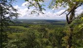 Trail Walking Boussières - Boussières crête  - Photo 10