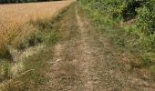 Percorso Marcia Cerelles - Cerelles - Bois de Lignière - Photo 3