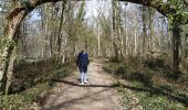 Tocht Stappen Vauchassis - Bois de Ferrieres - Photo 1