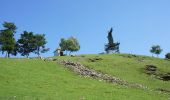 Percorso A piedi Stubenberg - Kulmkögerlweg - Photo 1