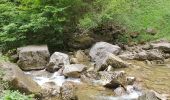 Trail Walking Saint-Claude - la cascade de la queue de  cheval  - Photo 10