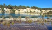 Trail Walking Guizengeard - LACS BLEUS GUIZENGEARD depuis le Parking de la Mairie - Photo 9