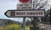 Percorso Marcia Fréjus - Le mont vinaigre - Photo 1