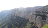 Tour Zu Fuß la Morera de Montsant - Brolles i vinyes. Scaladei - Photo 6