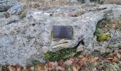 Randonnée Marche Plan-d'Aups-Sainte-Baume - grotte M Madeleine et Huveaunne - Photo 16