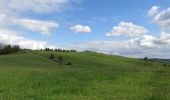 Tour Zu Fuß Hilders - Rundweg 9, Simmershausen - Photo 5