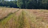 Trail Walking Villechauve - Villechauve 41310 - Photo 6