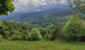 Trail Walking Soultzeren - Lac de Forlet Hohrodberg  - Photo 1