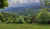 Tocht Stappen Soultzeren - Lac de Forlet Hohrodberg  - Photo 1