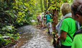 Percorso Marcia Saint-Claude - canal lepelletier par dimba - Photo 2