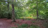 Trail Walking Seraing - ptit tour par les ptits chmins du bois de sraing - Photo 1