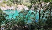 Tocht Stappen Montmeyan - Basses gorges du Verdon Quinson - Photo 6